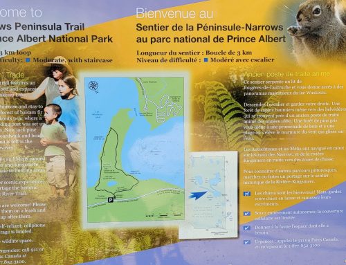 Full Ride of Narrows Peninsula Trail – PA National Park