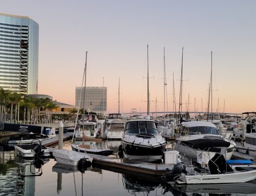 San Diego, Marina Longboard Wipeout